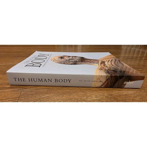 The Human Body An Essential Guide To How The Body Works By Dr.‎ Peter Abrahams - Picture 2 of 9